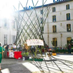 tour bambou marché